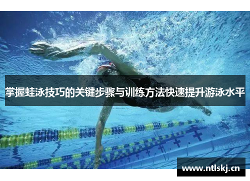 掌握蛙泳技巧的关键步骤与训练方法快速提升游泳水平