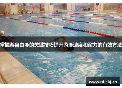 掌握游自由泳的关键技巧提升游泳速度和耐力的有效方法