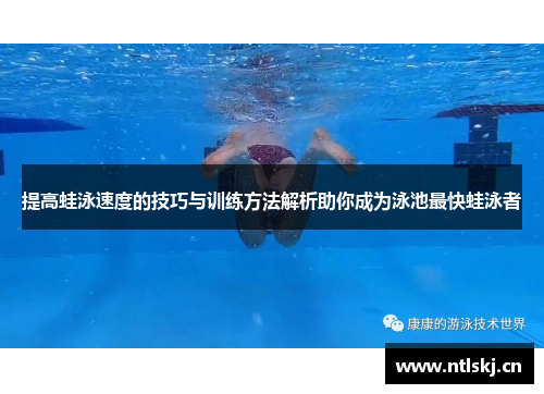 提高蛙泳速度的技巧与训练方法解析助你成为泳池最快蛙泳者