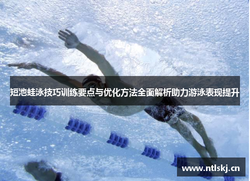 短池蛙泳技巧训练要点与优化方法全面解析助力游泳表现提升