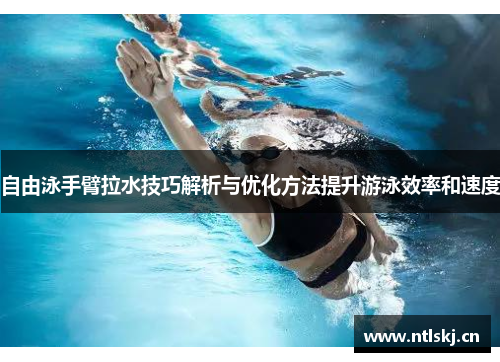 自由泳手臂拉水技巧解析与优化方法提升游泳效率和速度