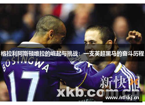 格拉利阿斯顿维拉的崛起与挑战：一支英超黑马的奋斗历程
